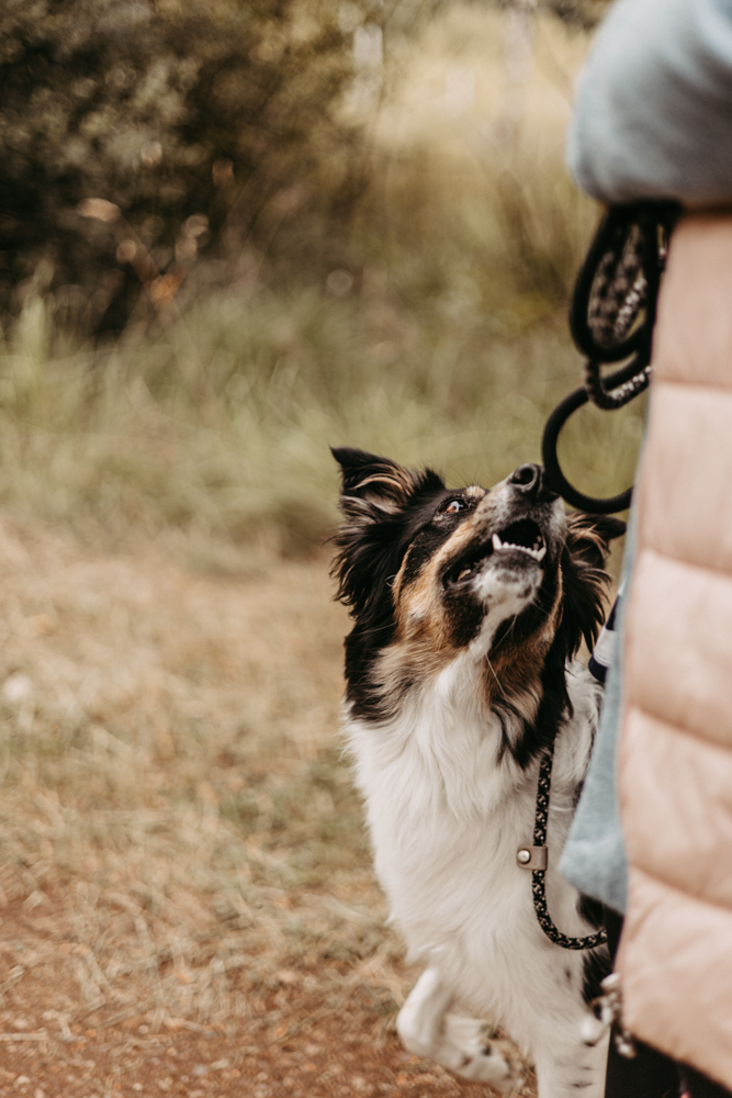 PersonalBranding Hundetrainerin Hamburg 2024 41 von 47