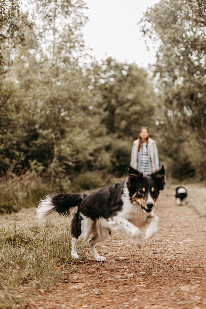 PersonalBranding Hundetrainerin Hamburg 2024 44 von 47