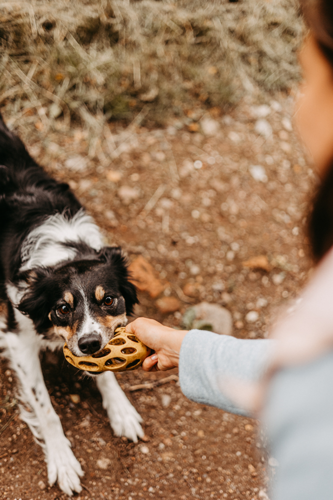 PersonalBranding Hundetrainerin Hamburg 2024 45 von 47