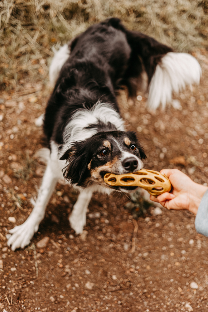 PersonalBranding Hundetrainerin Hamburg 2024 46 von 47