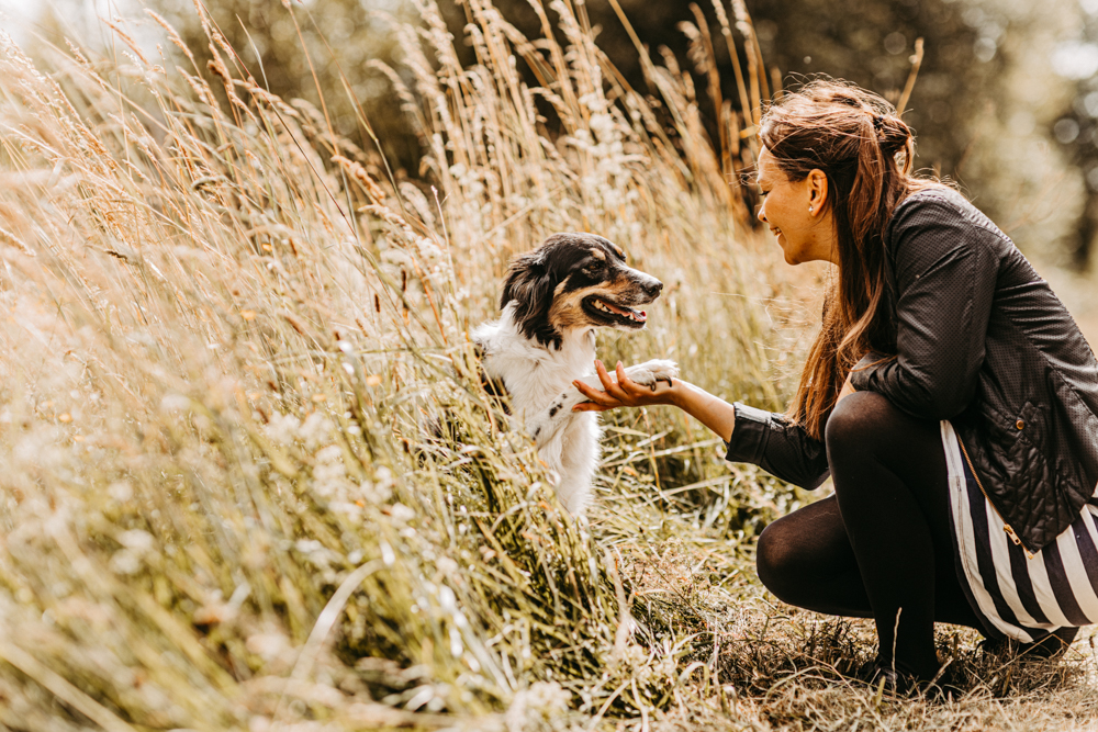 PersonalBranding Hundetrainerin Hamburg 2024 6 von 47