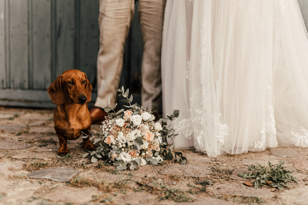 Hochzeit LL GutSteinwehr 2023 12 von 24