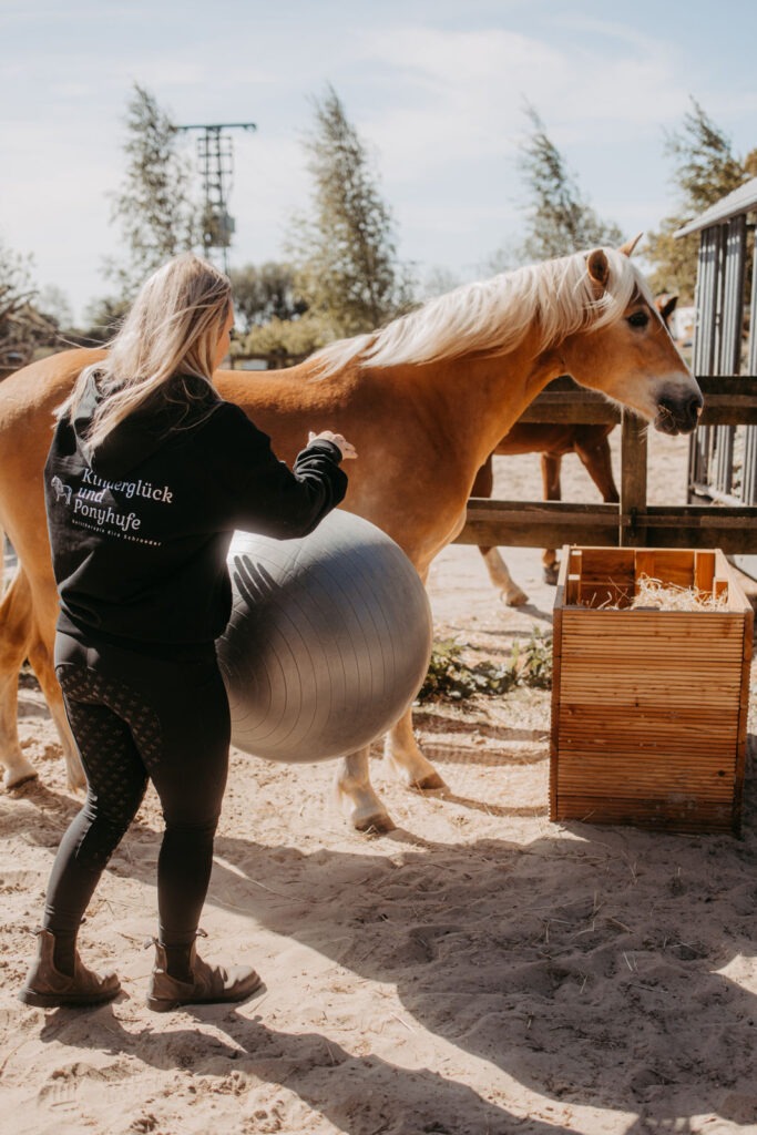 Personal Branding Flensburg Pferdetherapie Kira 61 von 500