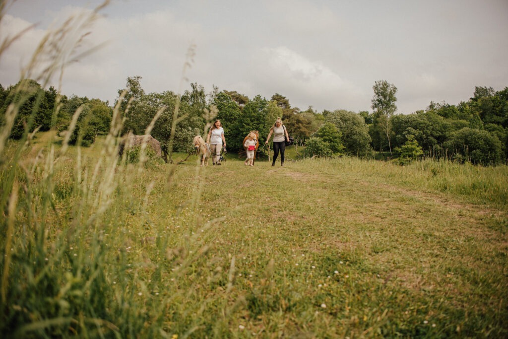 PersonalBranding Reittherapie Flensburg Kira 147 von 334