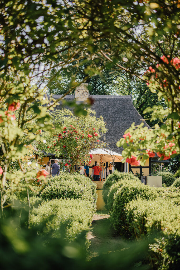 Hannes Camper Kampagne Gut Damp2