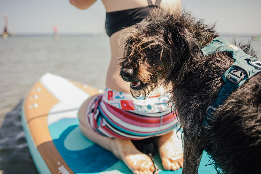 Hannes Camper Kampagne Gut Damp9