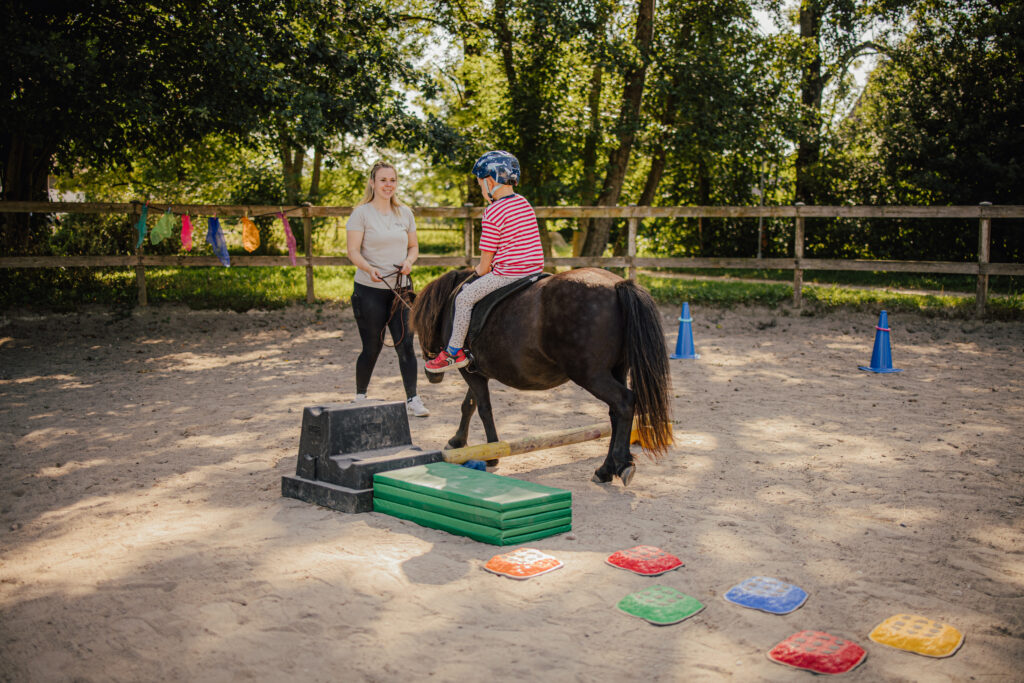 Personal Branding Reitpaedagogik Flensburg4