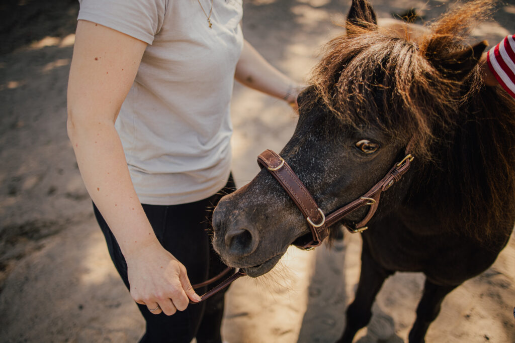 Personal Branding Reitpaedagogik Flensburg7