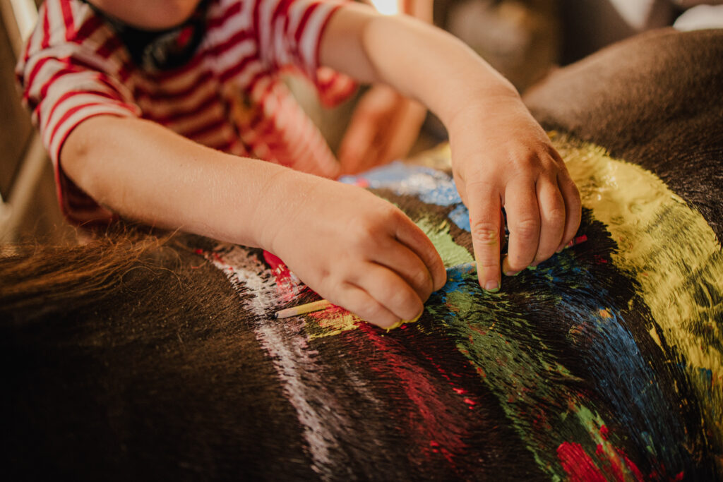 Personal Branding Reitpaedagogik Flensburg9 1